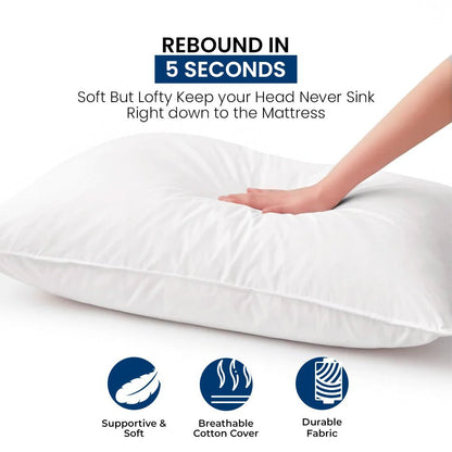 BELEM DOWN ALTERNATIVE PILLOW QUEEN SIZE