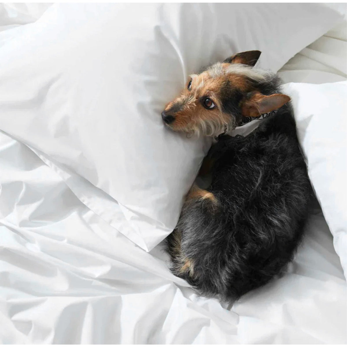 WHITE DUVET COVERS